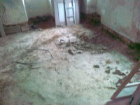 /album/galeria/payment-of-customs-clearance-092-jpg/